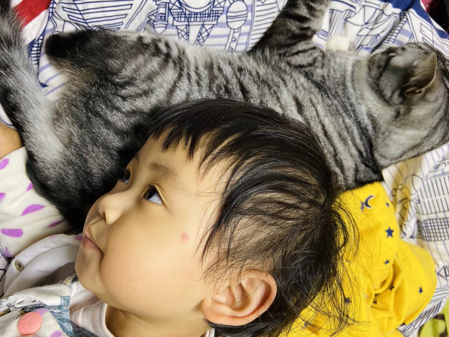 圣诞节快到了哦🎄