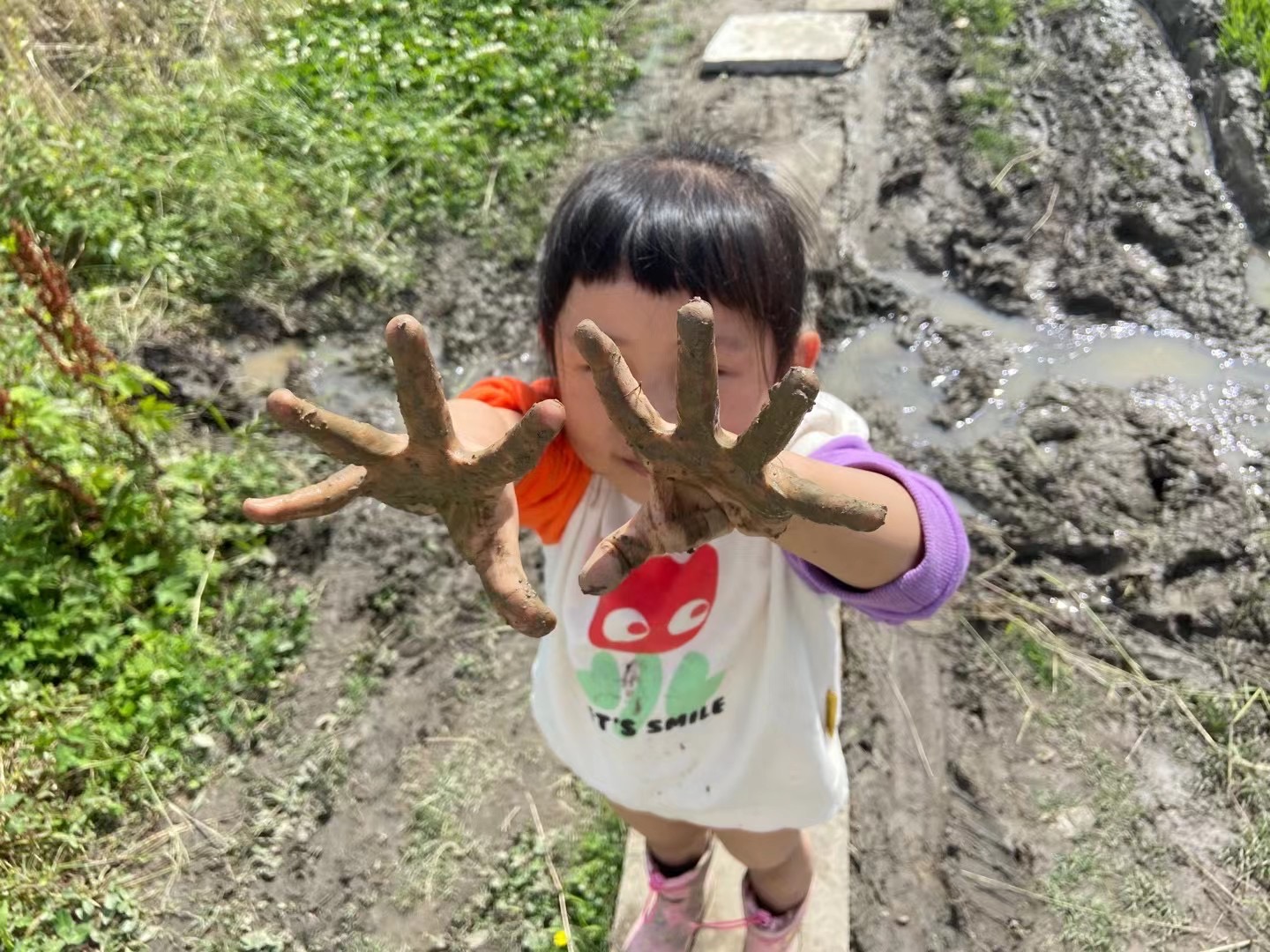 春日大作战☀️